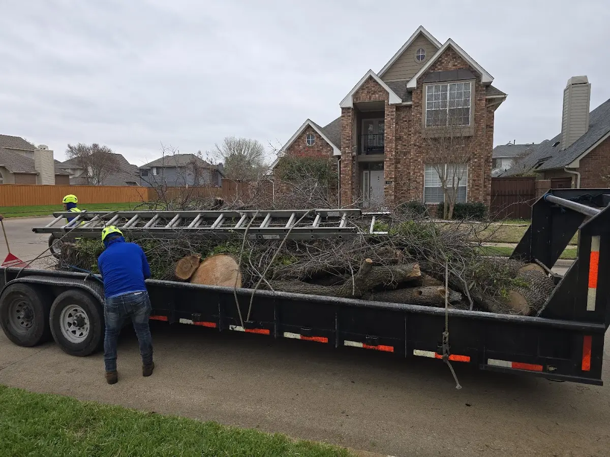 Expert Tree Removal with proper safety equipment in Coalton